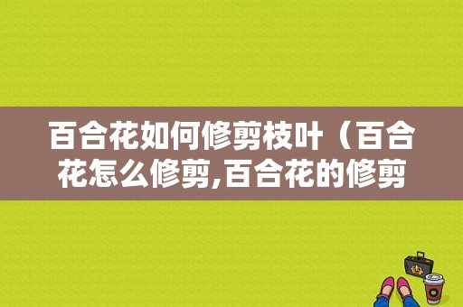 百合花如何修剪枝叶（百合花怎么修剪,百合花的修剪方法图解）