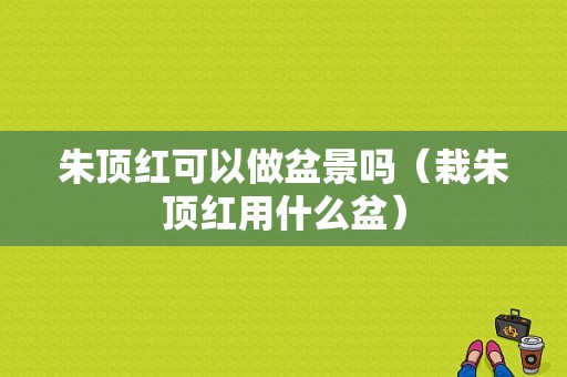 朱顶红可以做盆景吗（栽朱顶红用什么盆）