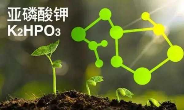 关于植物对磷的吸收？植物如何补磷