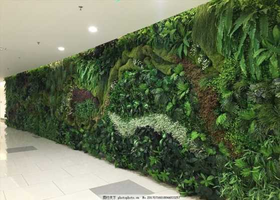 绿色植物背景墙可以放哪些植物？植物成长主题墙-图2