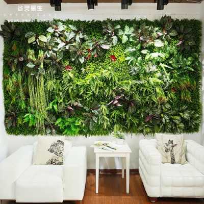 绿色植物背景墙可以放哪些植物？植物成长主题墙-图3
