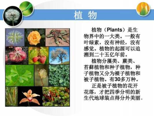 一年级植物在生活中有哪些作用？哪些植物有什么功能-图1