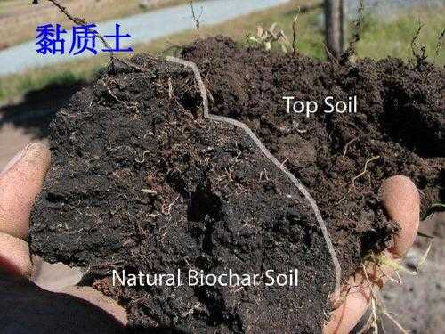 不同土壤对植物生长有什么影响？中性土壤对植物的影响