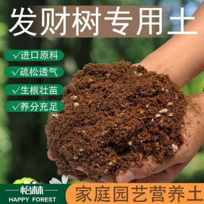 沙质泥土可以种什么农作物？沙质土适宜种植什么植物