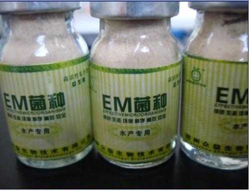 em菌浇花利与弊？EM菌对植物的影响-图2