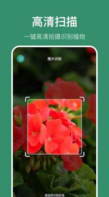 植物识别app有哪些？花草植物的头像图片-图2