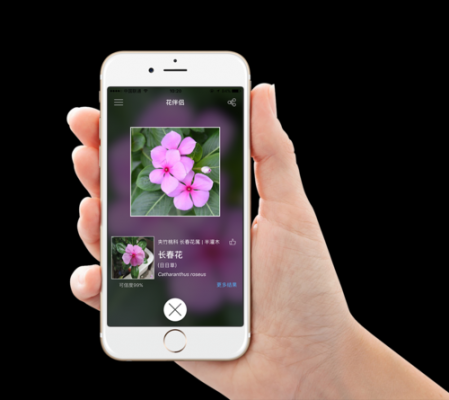 植物识别app有哪些？花草植物的头像图片-图3