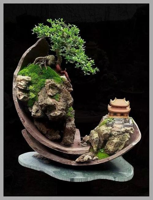 石头花卉盆景（石头花卉盆景怎么养）-图3