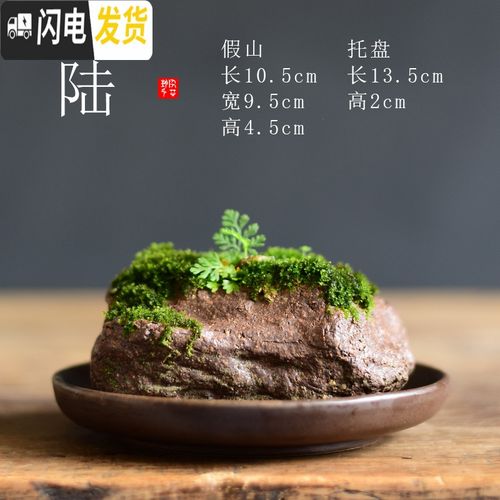 铺上苔藓的盆景如何施肥（盆景上铺的苔藓养不活）-图2