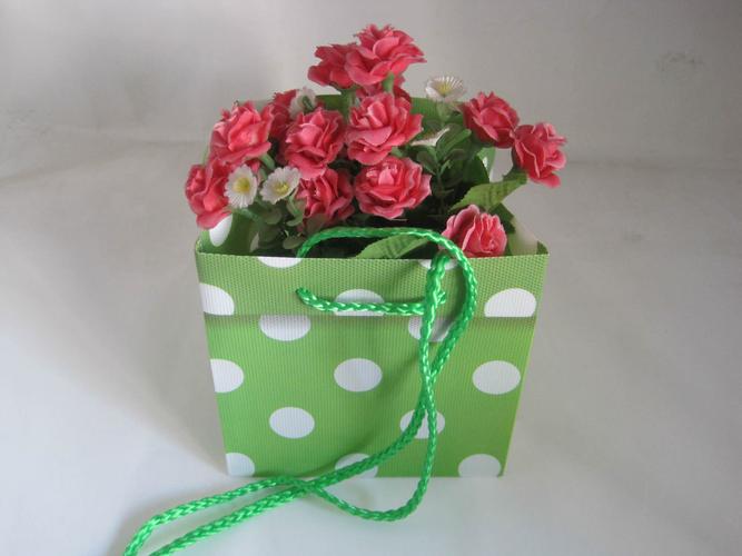 盆景花卉专用包装袋（盆景包装有哪些）-图2