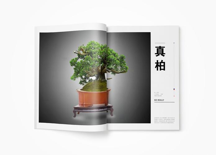 中国花卉盆景花木广告（盆景经典广告）-图1