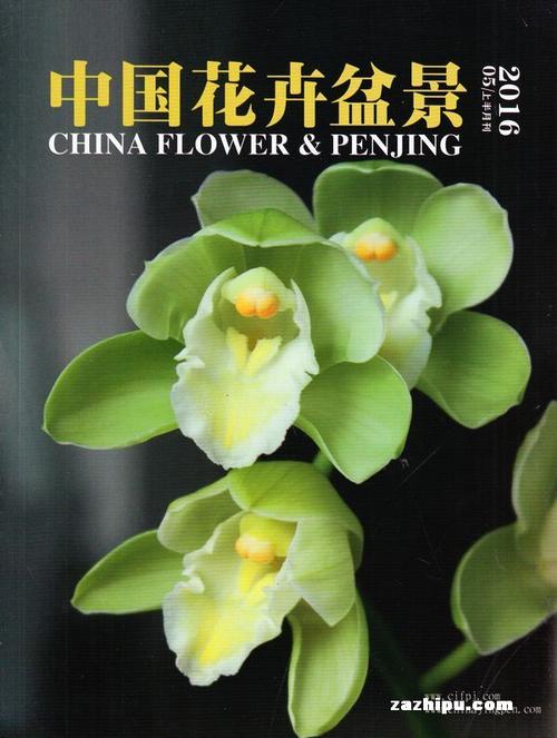 中国花卉盆景花木广告（盆景经典广告）-图2