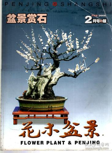 中国花卉盆景花木广告（盆景经典广告）-图3
