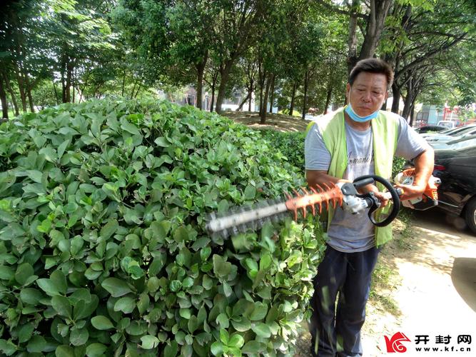 修剪花草树木的职业是什么（修剪植物的职业）