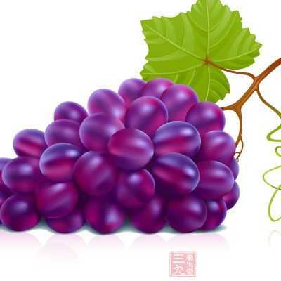 紫色葡萄冬季修剪（紫葡萄的调配色方法）-图2