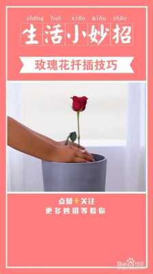 老公送的玫瑰花如何扦插（老公送了一束玫瑰花怎样能保持新鲜）-图1