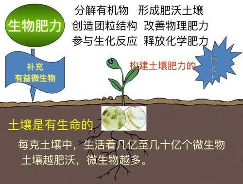 如何将土地养肥（怎么使土地肥沃）-图2