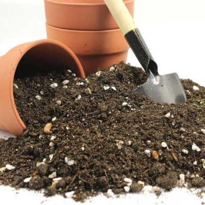 如何制作酸性土壤（如何制作酸性土壤?）