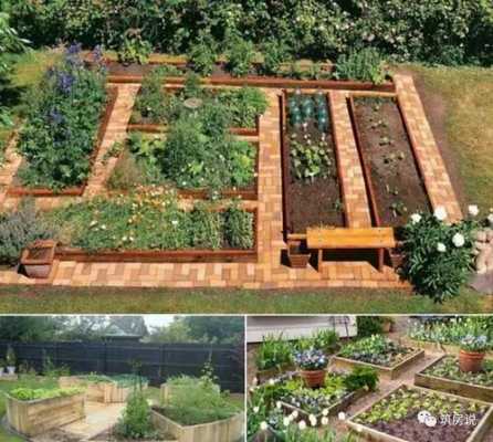 如何改善花园土种菜（花园怎么改良土壤）-图3