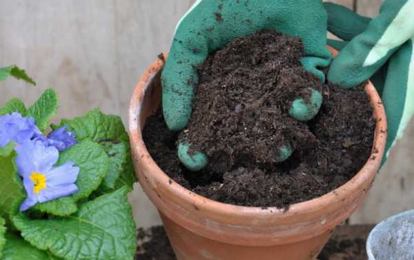 如何使盆栽的土变肥（盆栽的土怎么可以肥沃）
