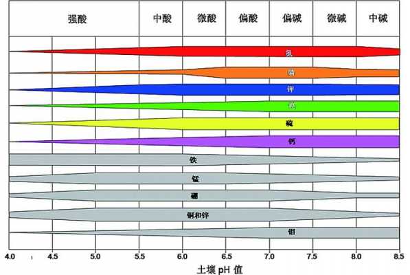 如何这是土壤的pH值（土壤ph值怎么看）