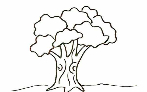 如何画榕树的叶子（如何画榕树的叶子图片）-图2