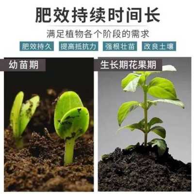 盆栽如何施磷肥（盆栽如何施磷肥肥料）