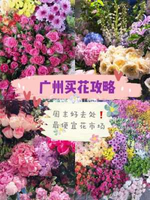 如何去广州花卉市场（如何去广州花卉市场坐公交车）-图3