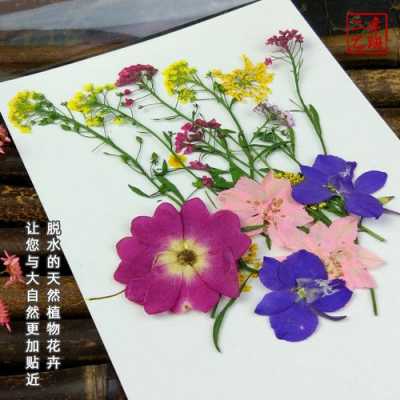 如何制作干花（如何制作干花瓣书签）