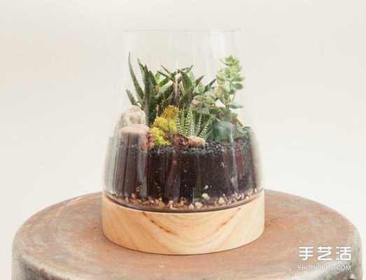 如何自制植物器皿（自制的植物,基本没创意的）-图3