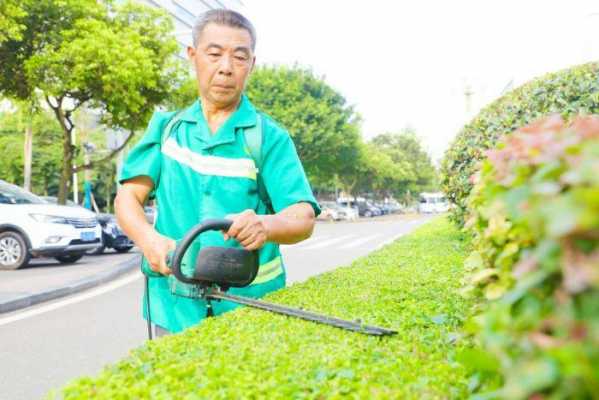 如何把灌木剪成圆形（如何修剪灌木丛）